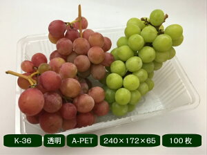 t[cP[X K-36 y100z 240×172×65mm XpbN (̎Ή\jʎ ʕ e  t[c P[X vX`bN Ԃǂ    Mtg VC}XJbg   