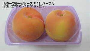 J[t[cP[X F-12 p[vy100z 193(183)×118(108)×48mm Ma ʎ@ʕ@e@J[ t[c P[X vX`bN Ԃǂ    Mtg VC}XJbg  F12 ނ炳