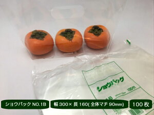 VEobN NO.1B 300×160iS̃}`90mmjy100z H (̎Ή\jt[c ʕ  pbN obN t  ݂  `  eCNAEg A G 1B pbN 