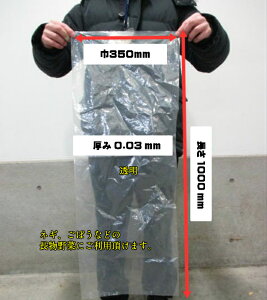 yIWiz| 0.03×350×1000mm y100z  |  V V  lM K  ڂ 0.03 350×1000 rj[ rj[ Ɩp v   ۑ [ ۊ {