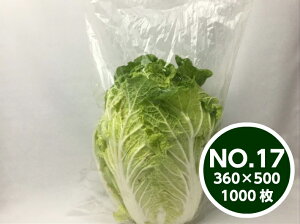 yIWiz{[h OPP{[h #25 NO.17 0.025×360×500mmy4z 1000 yyVLO1ʁz v}[NȂ   17 h hܑ 傫 Nx  VN Ih~   