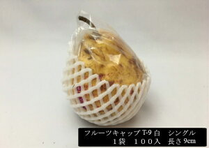 y5%OFFzt[cLbv T-9  yVOz 9cm y100z ʕ ɏՍ ی A lbg Lbv t[c  A Ռ  ی U zCg