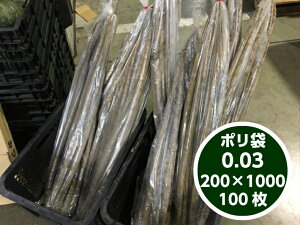 yIWiz| 0.03×200×1000mmy100z̎Ή\@ |  lQ _ yt˂ lM y˂ ^L  K  0.03 200×1000 rj[ rj[ Ɩp v   