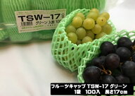 バイオ フルーツキャップ TSW-17 グリーン 緑 【ダブル】 17cm 【100個】 バイオプラスチック 果物 緩衝…