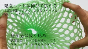 楽天市場 ﾎﾟｲﾝﾄ10倍 フルーツキャップ Tsw 17 グリーン 緑 ダブル １７ｃｍ 100個入 領収書対応可能 果物 緩衝材 保護材 発泡 ネット マスカット シャインマスカット ぶどう 梨 すいか 西瓜 キャップ フルーツ 網 輸送 衝撃 守る 保護 振動 ピオーネ ぶどう