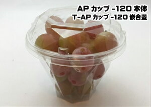 yZbgzAPJbv-120Zbg a117×90mmy50z GtsR eCNAEge Ԃǂ   T_ ĝ e pbN ĝ eCNAEg A  ĝėe Ԃǂ ~