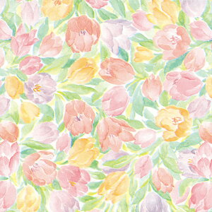  ㎿ [Y  757×530mm 100 ㎿ 60g Mtg        Ε 蕨 ˔