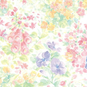  ㎿ [U  750×528mm 100 ㎿ 52.3g Mtg        Ε 蕨 ˔