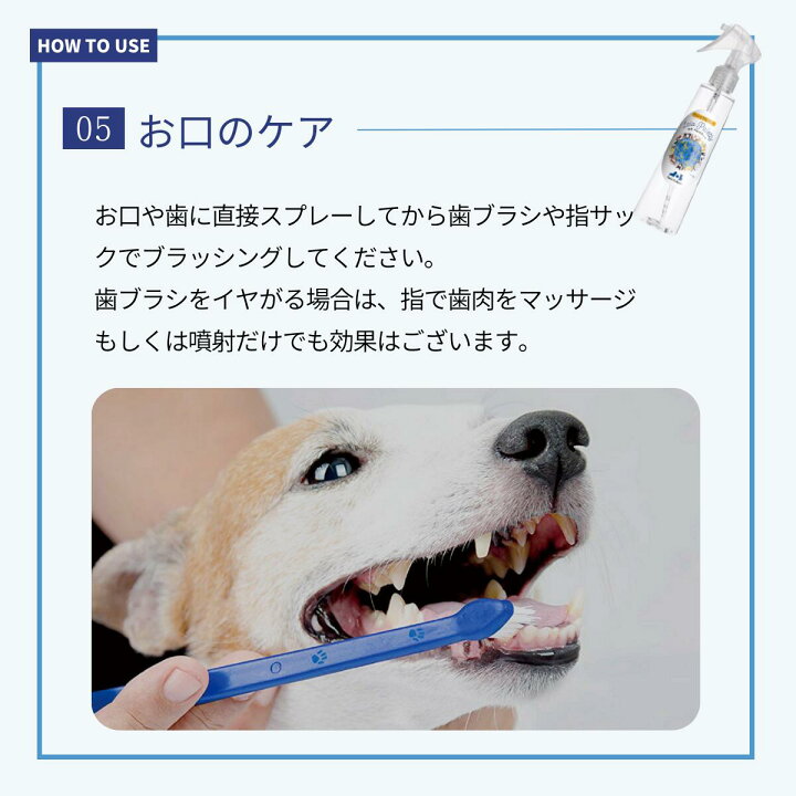 楽天市場 夏の日焼け 肉球の火傷ケアに 保湿化粧水 ララ ペレッティー 0ml ペット用 ローション 目ヤニ 耳ダレ 保湿 涙やけ 皮脂汚れ フケ 指間炎 指間 フレンチブル パグ 肉球 花粉症 ケア Lifestyle Cleaner メーカー直販店 楽天市場 夏の日焼け 肉球の火傷ケアに 保湿化粧水 ララ ペレッティー 0ml ペット用 ローション 目ヤニ 耳ダレ 保湿 涙やけ 皮脂汚れ フケ 指間炎 指間 フレンチブル パグ 肉球 花粉症 ケア Lifestyle Cleaner メーカー直販店