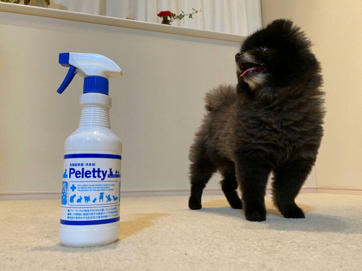 楽天市場 ペット 消臭剤ランキング 第1位 犬 おしっこ 消臭 猫 インコ ペット用 プレミアム 消臭スプレー Peletty ペレッティー 500ml スプレー ゲージ 除菌 ハムスター フェレット ハリネズミ モモンガ うんち 除菌 無香料 無刺激 Lifestyle Cleaner メーカー直販店 楽天市場 ペット 消臭剤ランキング 第1位 犬 おしっこ 消臭 猫 インコ ペット用 プレミアム 消臭スプレー Peletty ペレッティー 500ml スプレー ゲージ 除菌 ハムスター フェレット ハリネズミ モモンガ うんち 除菌 無香料 無刺激 Lifestyle Cleaner メーカー直販店