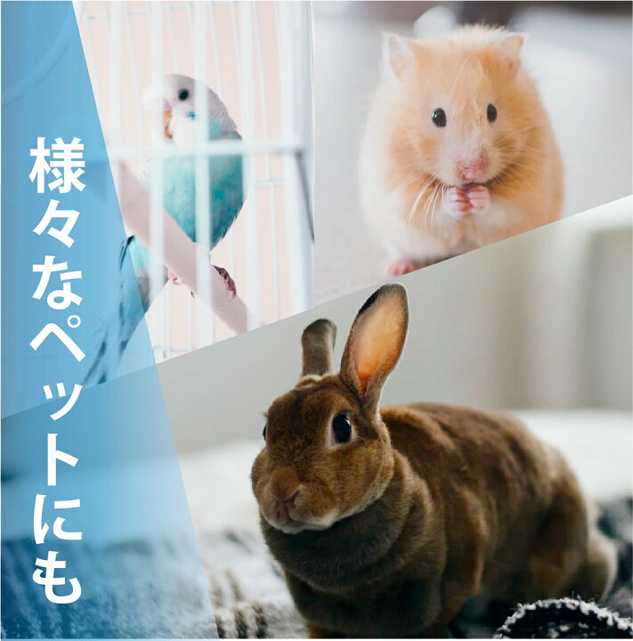 楽天市場】長期安定型 次亜塩素酸ナトリウム ペット消臭 除菌 「 Peletty 詰替え用 エコタンク 5L 」動物病院 業務用 ペット 犬 猫 インコ おしっこ おそそう 除菌 消臭 ペレッティ : Lifestyle Cleaner メーカー直販店 楽天市場】長期安定型 次亜塩素酸ナトリウム ペット消臭 除菌 「 Peletty 詰替え用 エコタンク 5L 」動物病院 業務用 ペット 犬 猫 インコ おしっこ おそそう 除菌 消臭 ペレッティ : Lifestyle Cleaner メーカー直販店