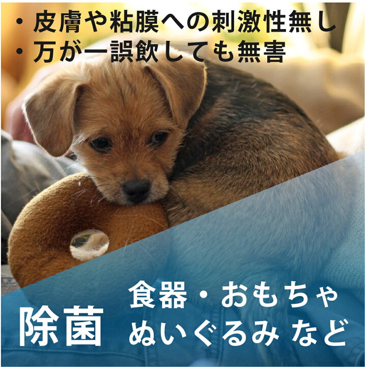 楽天市場 消臭剤ランキング 第１位 犬 おしっこ 消臭 猫 インコ ペット Peletty ペレッティー 詰替え用１l ペット クッション ベッド ゲージ 除菌 ハムスター フェレット ハリネズミ モモンガ うんち 無香料 無刺激 Lifestyle Cleaner メーカー直販店