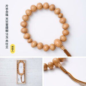 ys zЎO V 18 ds˔t