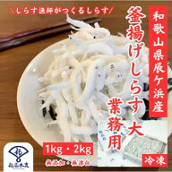 【ランキング受賞】釜揚げしらす 大 業務用 大きいしらす 日本屈指のしらす漁場「紀州辰ケ浜」で水揚げ …