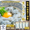 【ランキング受賞】生しらす 極 日本屈指のしらす漁場「紀州辰ケ浜」で水揚げ 生しらすたっぷり400g どろめ 生シラス …