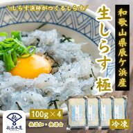 【ランキング受賞】生しらす 極 日本屈指のしらす漁場「紀州辰ケ浜」で水揚げ 生しらすたっぷり400g どろ…
