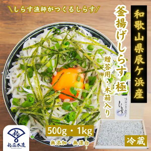 g炷  pEؔ {ŵ炷uIBCPlvŐg Ղ500gE1kg g VX  ߂ ` Ⴑ WR 炷 VX т̂ 