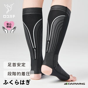 yz ӂ͂ T|[^[ DARWING J[t _CH  ނ d X|[c d