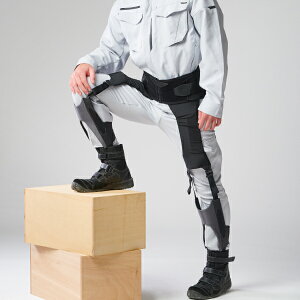 yzAVXgX[c DARWING Arukelude PROiAPf vj   _CH T|[^[ Sy Jy  AVXg X[c p[