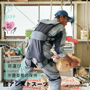 yzAVXgX[c DARWING Hakobelude nRxf   Ĕ_ AVXg X[c  T|[^[ Sy Jy