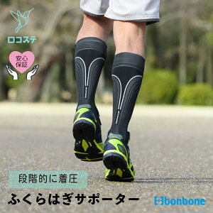 yz ӂ͂ T|[^[ DARWING J[t _CH  ނ d X|[c d