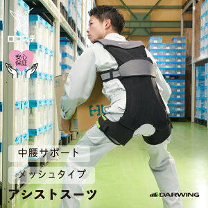 yzAVXgX[c DARWING Hakobelude _[EB nRxf i2024Nfj  q H ς݉낵 AVXg X[c  T|[^[ Sy Jy  AV