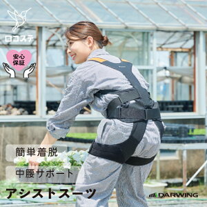 y{́zAVXgX[c DARWING SATT _[EB Tbg  Ĕ_ d AVXg X[c  T|[^[ Sy Jy  AVXg X[c p[