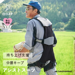 yzAVXgX[c DARWING Hakobelude _[EB nRxf i2024Nfj _ Ĕ_ d AVXg X[c  T|[^[ Sy Jy  AVXg X[c 