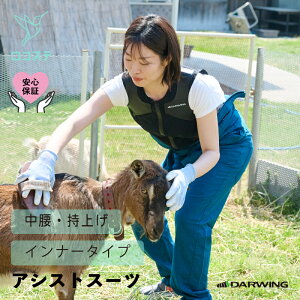 yz AVXgX[c DARWING UT-Rise _[EB [eB[ CY  _ Ĕ_ d AVXg X[c  T|[^[ Sy Jy  p[