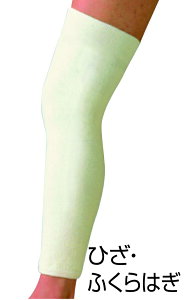 ACPA tbgPAT|[^[ ЂEӂ͂ Ep ԊO ۉ G 