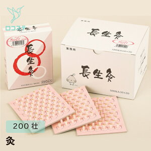 R \tg 1000s 200s  Ԑڋ