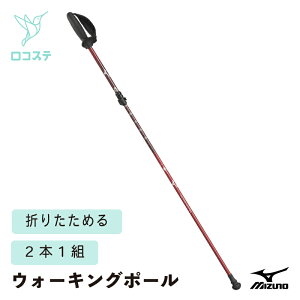 ~Ym ܂肽݃EH[LO|[SH 2{1g