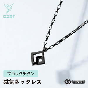 Rgbe SPORTS PRO }O`^lbNX RT150 ubN`^ SQ(Ђ`)/RD(ی^) 51cm/47cm ClbNX