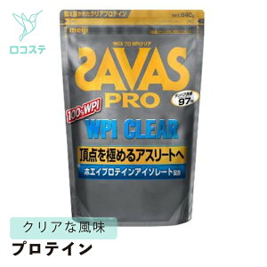 ���� �U�o�X �v�� SAVAS PRO WPI �N���A 840g �y�y���ŗ��z ��e�� �v���e�C��