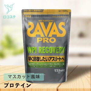���� �U�o�X �v�� SAVAS PRO WPI ���J�o���[ 1,020g �y�y���ŗ��z ��e�� �v���e�C��