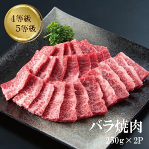 y5{ |CgAbvzo ē 250g × 2 v 500g Jr Yјa o[xL[  4 5 Mtg v[g Ⓚ 