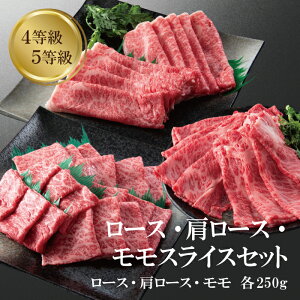 y15OFF yVX[p[Z[z[X [X @3 XCXZbg e 250g v750g Ă Ԃ Yјa  4 5 Mtg v[g Ⓚ 