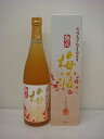 高千穂　熟成梅酒720ml
