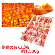 あんぽ柿（はちや柿 / 1,500g / 15〜25個入） 福島 伊達 五十沢 干し柿 ドライ フルーツ 果物 ギフト プ…