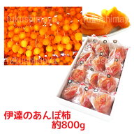 あんぽ柿（はちや柿 / 800g / 12〜16個入） 福島 伊達 五十沢 干し柿 ドライ フルーツ 果物 ギフト プレ…