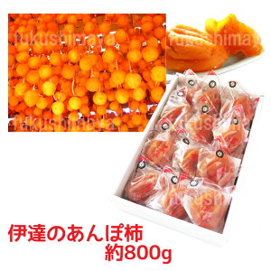 ۊ`i͂` / 800g / 12`16j  ɒB ` hC t[c ʕ Mtg v[g  j j 