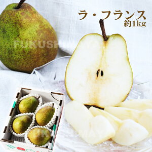 m EtX 1kgi3`6ʓjyF11{`12{܂ŗ\z  tX t[c ʕ Mtg v[g   j j yY  O