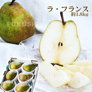 m EtX 1.8kgi5`9ʓjyF11{`12{܂ŗ\z  tX t[c ʕ Mtg v[g   j j yY  O