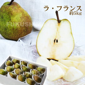 洋梨 ラ・フランス 約5kg（10〜22玉入）【発送時期：11月上旬頃〜12月中旬頃まで予定】 福島 ラフランス フルーツ 果物 ギフト プレゼント 贈答 送料無料 御祝 内祝 手土産 お取り寄せ グルメ