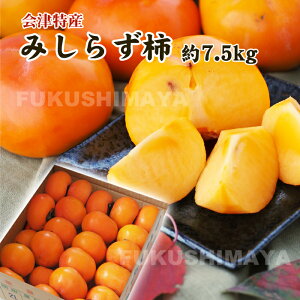 ݂炸 ` 7.5kgi20`50jyF11{`12{܂ŗ\z   g炸 gm炸 t[c ʕ Mtg v[g   j j yY 