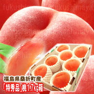 桃 特秀品桃 1.7kg箱 5玉〜7玉入 献上桃の郷 桑折町産 お中元 2026年予約 福島 桃 もも モモ 御中元 ギフ…