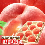 桃 特秀品桃 2.3kg箱 6玉〜10玉入 献上桃の郷 桑折町産 送料無料 お中元 2026年 予約 福島 桃　もも 御中…
