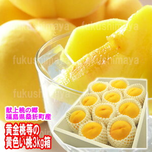 ���̓� ������ �E ���M�� �� 3kg�� ( 6�`12�ʓ� )
