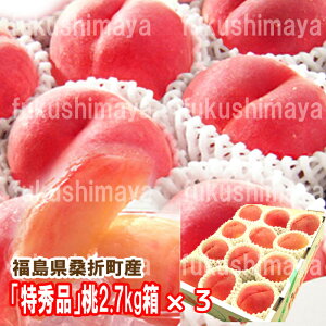 �� ���G�i�� 2.7kg��×3�Z�b�g 1�� 7�`15�ʓ� ���㓍�̋� ������ �K�ܒ��Y 2026�N�\�� ���� ���� ���� ���ƒ�p ���ʁy��������:7����{���`-9�����{���܂ŗ\��z