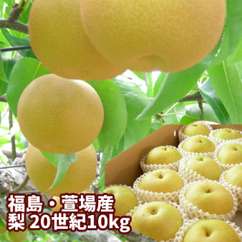 激安セール 最大43%OFFクーポン 福島県産 梨：甘味と酸味のバランスにシャリシャリの食感を楽しめます 20世紀梨 10kg箱 18～36玉入 梨の名産地 ふくしま かやば梨 福島の大地が育んだ 果汁たっぷり の甘～い梨 g-cans.jp g-cans.jp